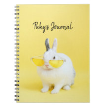 Niedliches Kaninchen