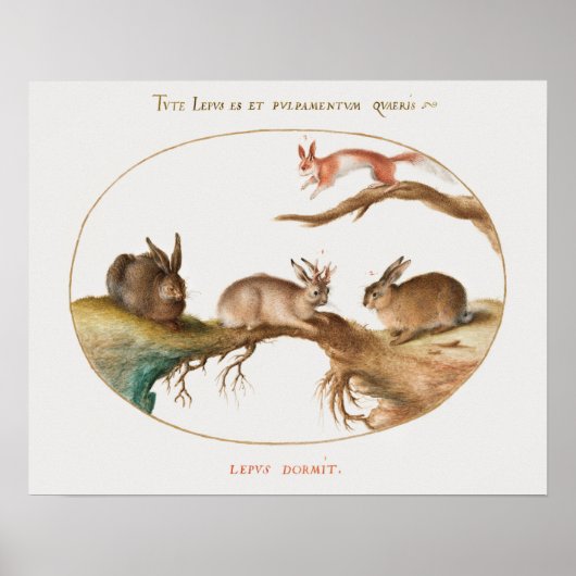 Niedliches Kaninchen-Poster Poster (Vorne)