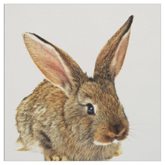 Niedliches Kaninchen Stoff (Muster)