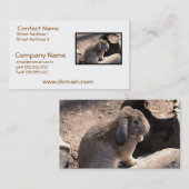 Niedliches Kaninchen Visitenkarte (Vorne/Hinten)