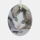 Niedliches Kätzchen 1 Foto Kreis Ornament Aus Glas (Vorderseite Rechts)