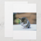 Niedliches Kätzchen Briefpapier (Vorne/Hinten)