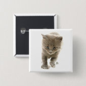 niedliches Kätzchen Button (Vorne & Hinten)