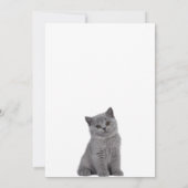 Niedliches Kätzchen Einladung (Rückseite)