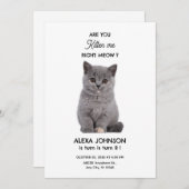 Niedliches Kätzchen Einladung (Vorne/Hinten)