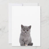 Niedliches Kätzchen Einladung (Rückseite)