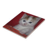 Niedliches Kätzchen Fliese (Seite)