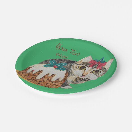 niedliches Kätzchen grauer Tabby, der Pappteller (Schrägansicht)