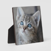 Niedliches Kätzchen im Garten Fotoplatte (Vorderseite)