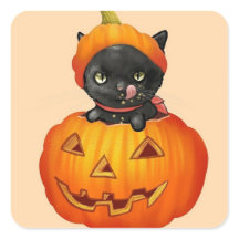 Niedliches Kätzchen im KürbisHalloween