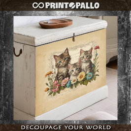 Niedliches Kätzchen in Blume - Seidenpapier