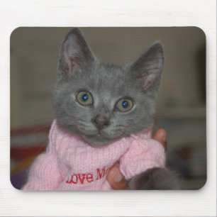 Niedliches Kätzchen in der Strickjacke Mousepad