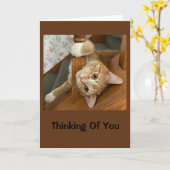 Niedliches Kätzchen Karte (Gelbe Blume)