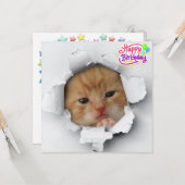 Niedliches Kätzchen Karte (Vorderseite/Rückseite Beispiel)