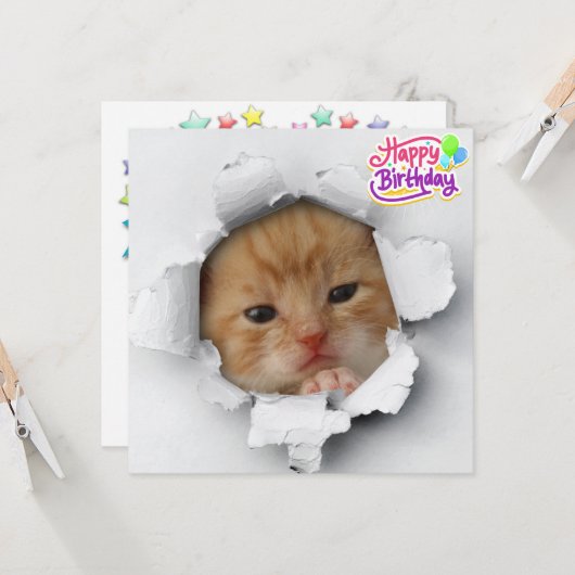 Niedliches Kätzchen Karte (Vorderseite/Rückseite Beispiel)