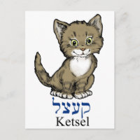 niedliches Kätzchen -"Ketsel" in Jiddisch