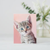 Niedliches Kätzchen mit blauen Augen. Postkarte (Stehend Vorderseite)