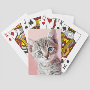 Niedliches Kätzchen mit blauen Augen. Spielkarten