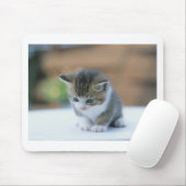 Niedliches Kätzchen Mousepad (Mit Mouse)