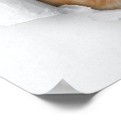 Niedliches Kätzchen Poster (Ecke)