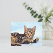 Niedliches Kätzchen Postkarte (Stehend Vorderseite)