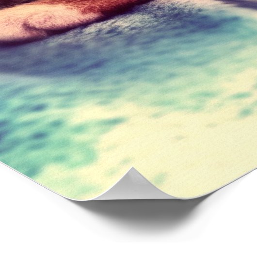 Niedliches Kätzchen schlafend Poster (Ecke)