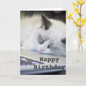 Niedliches Kätzchen-schlafende alles- Gute zum Karte (Gelbe Blume)