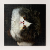 Niedliches Kätzchen, schwarz und weiß Puzzle (Horizontal)