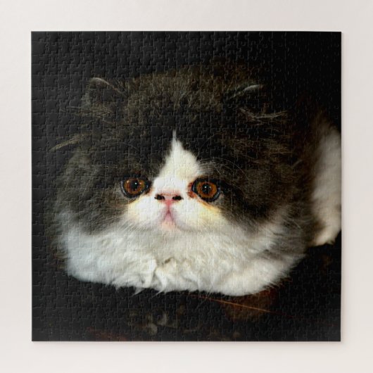Niedliches Kätzchen, schwarz und weiß Puzzle (Vertikal)