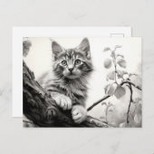 Niedliches Kätzchen - Schwarz und Weiß Zeichnend K Postkarte (Vorne/Hinten)