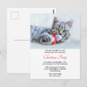 Niedliches Katzen Bitten Rote Weihnachtsmannmütze  Postkarte (Vorne/Hinten)