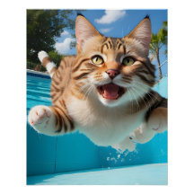 Niedliches Katzen Fliegen Tauchen im Pool Funny
