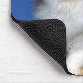 Niedliches Katzen-Kätzchen M003 Mousepad (Ecke)