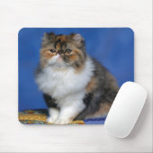 Niedliches Katzen-Kätzchen M003 Mousepad (Mit Mouse)