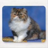 Niedliches Katzen-Kätzchen M003 Mousepad (Vorne)