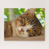 Niedliches Katzen Klettern Puzzle (Horizontal)