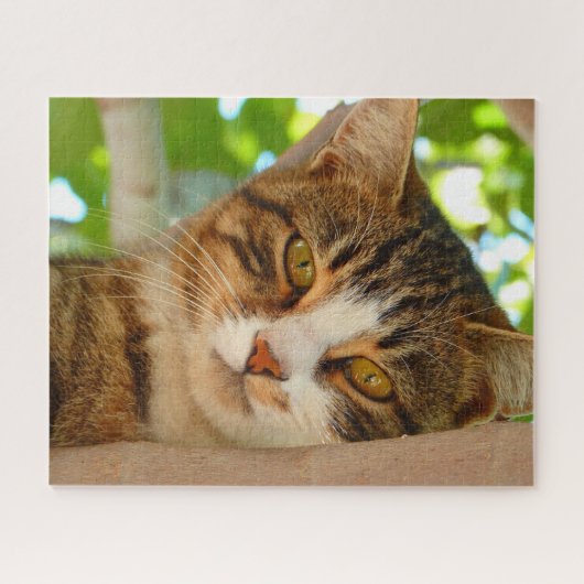 Niedliches Katzen Klettern Puzzle (Horizontal)