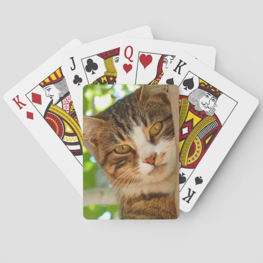 Niedliches Katzen Klettern Spielkarten (Rückseite)