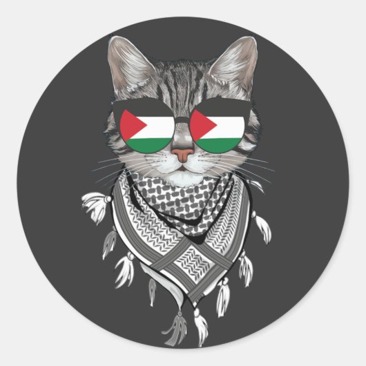 Niedliches Katzen Palästina-Flaggenbrille Keffiyeh Runder Aufkleber (Vorderseite)