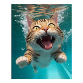 Niedliches Katzen Tauchen Unterwasser im Pool Funn Poster
