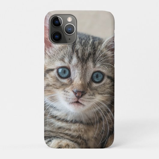 Niedliches Katzengesicht Case-Mate iPhone Hülle (Rückseite)