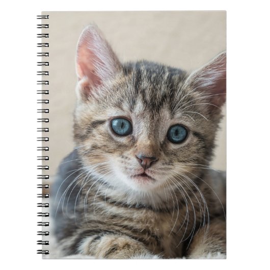 Niedliches Katzengesicht Notizblock (Vorderseite)