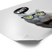 Niedliches Katzenkätzchen mit Brillengläsern, was Fotodruck (Ecke)
