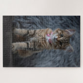 Niedliches Katzenportrait, 1014 Stück Puzzle (Horizontal)