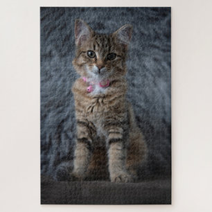 Niedliches Katzenportrait, 1014 Stück Puzzle