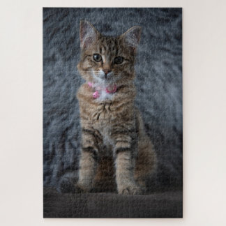 Niedliches Katzenportrait, 1014 Stück Puzzle