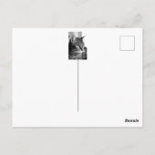 Niedliches Katzenportrait - der Denker Postkarte (Rückseite)