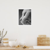 Niedliches Katzenprofil - Schwarzweiß Poster (Küche)