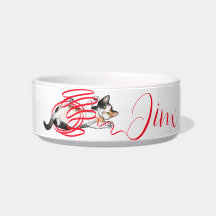 Niedliches Katzenspielen mit einer Multifunktionsl