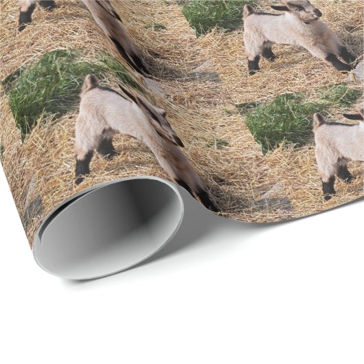 Niedliches Kid Wrapping Papier Geschenkpapier (Rolleneckpunkt)